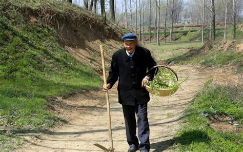 左三右六是什麼|老話說：清明上墳，前三後四，左五右六，什麼意思？古人智慧之。